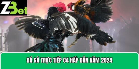 Đá gà trực tiếp C4
