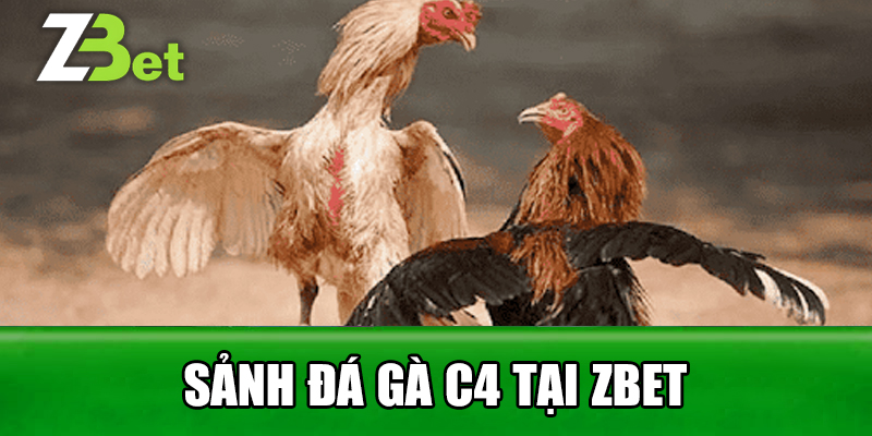 Sảnh đá gà C4 tại Zbet