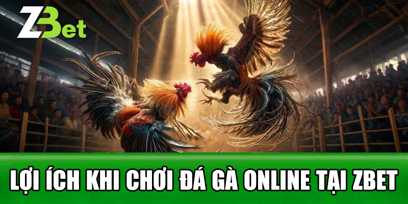 Lợi Ích Khi Chơi Đá Gà Online Tại Zbet