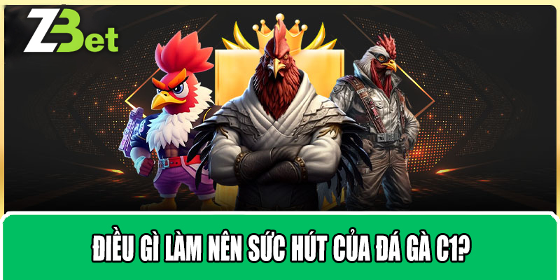 Điều Gì Làm Nên Sức Hút Của Đá Gà C1?