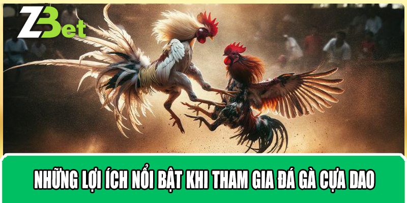 Những lợi ích nổi bật khi tham gia đá gà cựa dao