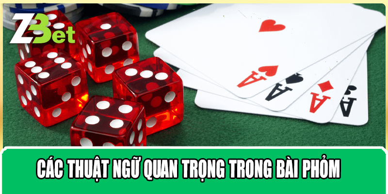 Các Thuật Ngữ Quan Trọng Trong Bài phỏm