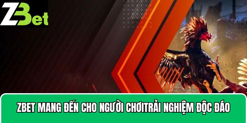 Zbet mang đến cho người chơi những trải nghiệm độc đáo