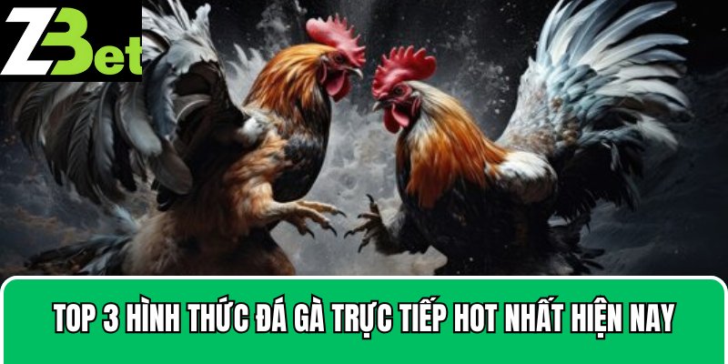 Các lý do khiến ZBet là lựa chọn hoàn hảo để cược đá gà trực tiếp