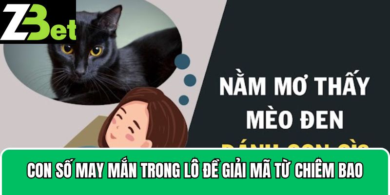 Con số may mắn trong lô đề giải mã từ chiêm bao