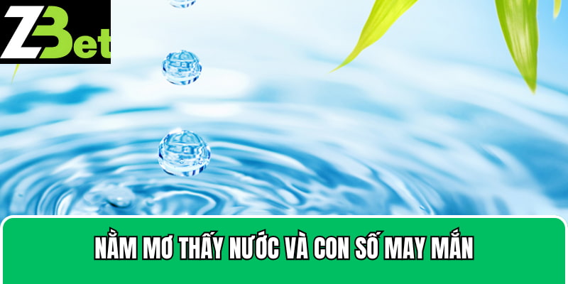 Luận ý nghĩa và con số đi kèm